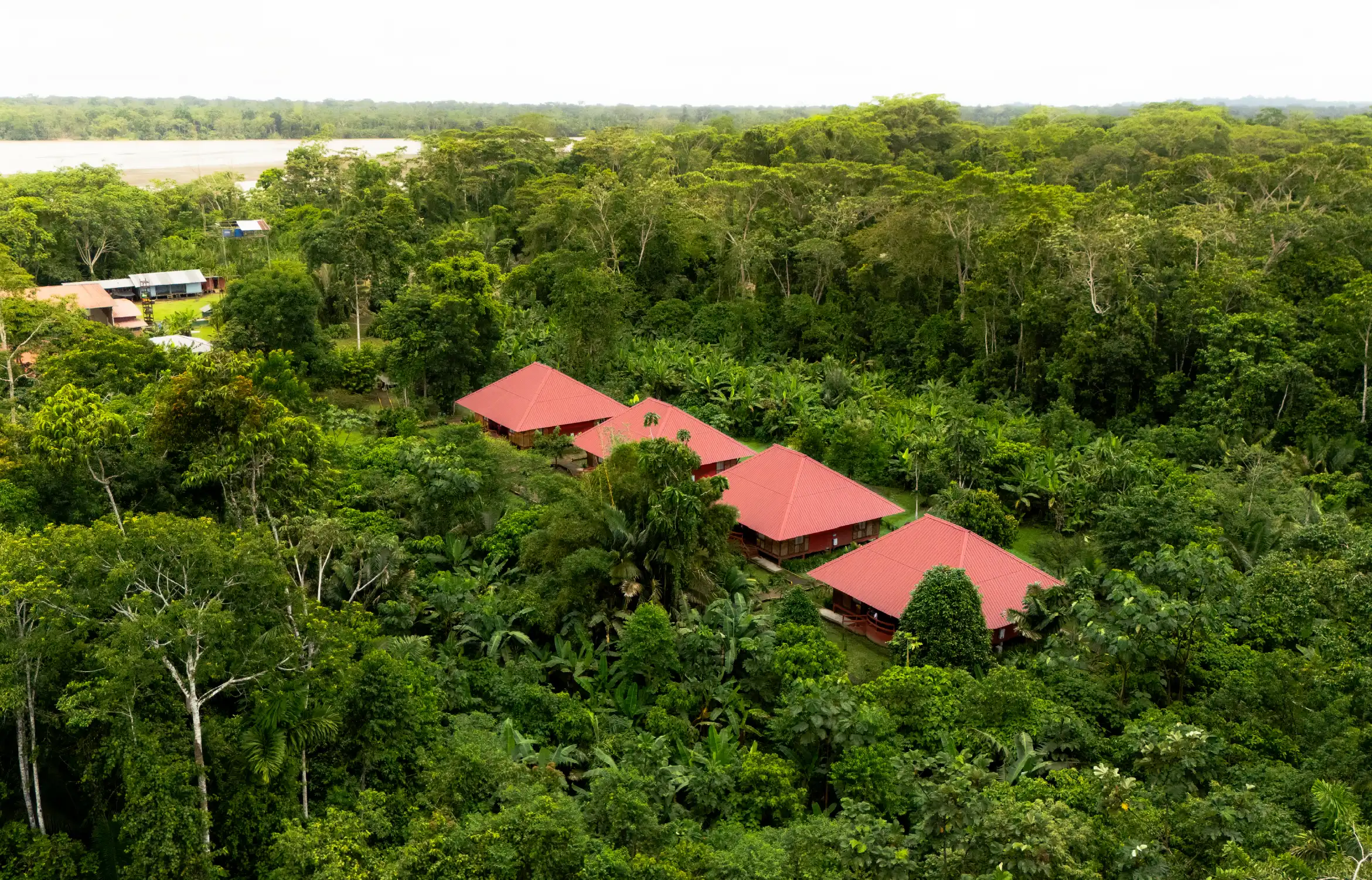 Quito, Galápagos y Amazonía · Yasuní Ecolodge · 11 días