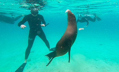 Santa Fe Island Tour