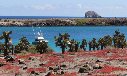Isla Plaza Sur