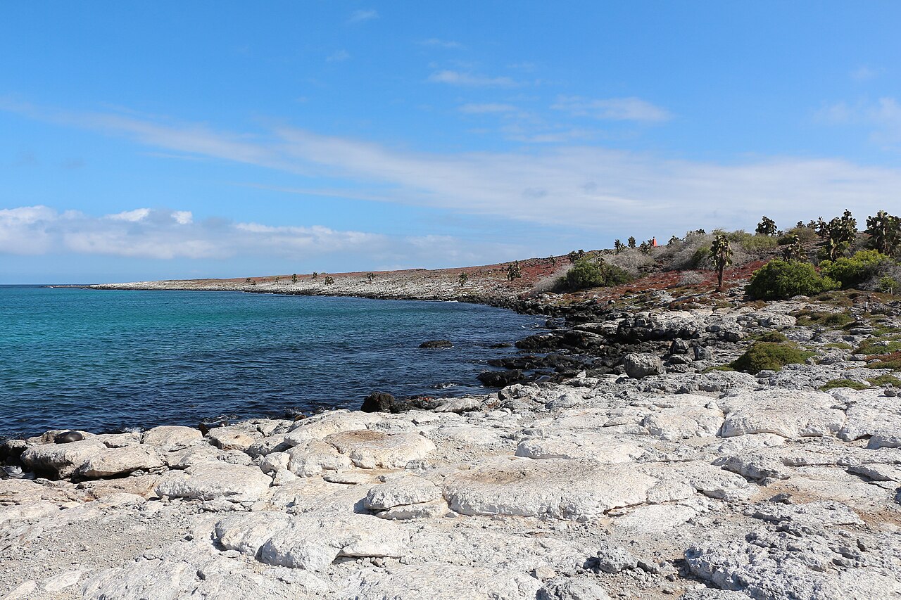 South Plazas Island Tour